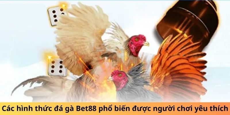 Các hình thức đá gà Bet88 phổ biến được người chơi yêu thích