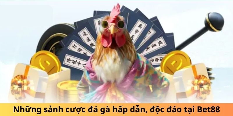 Những sảnh cược đá gà hấp dẫn, độc đáo tại Bet88