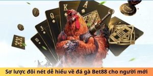 Sơ lược đôi nét dễ hiểu về đá gà Bet88 cho người mới